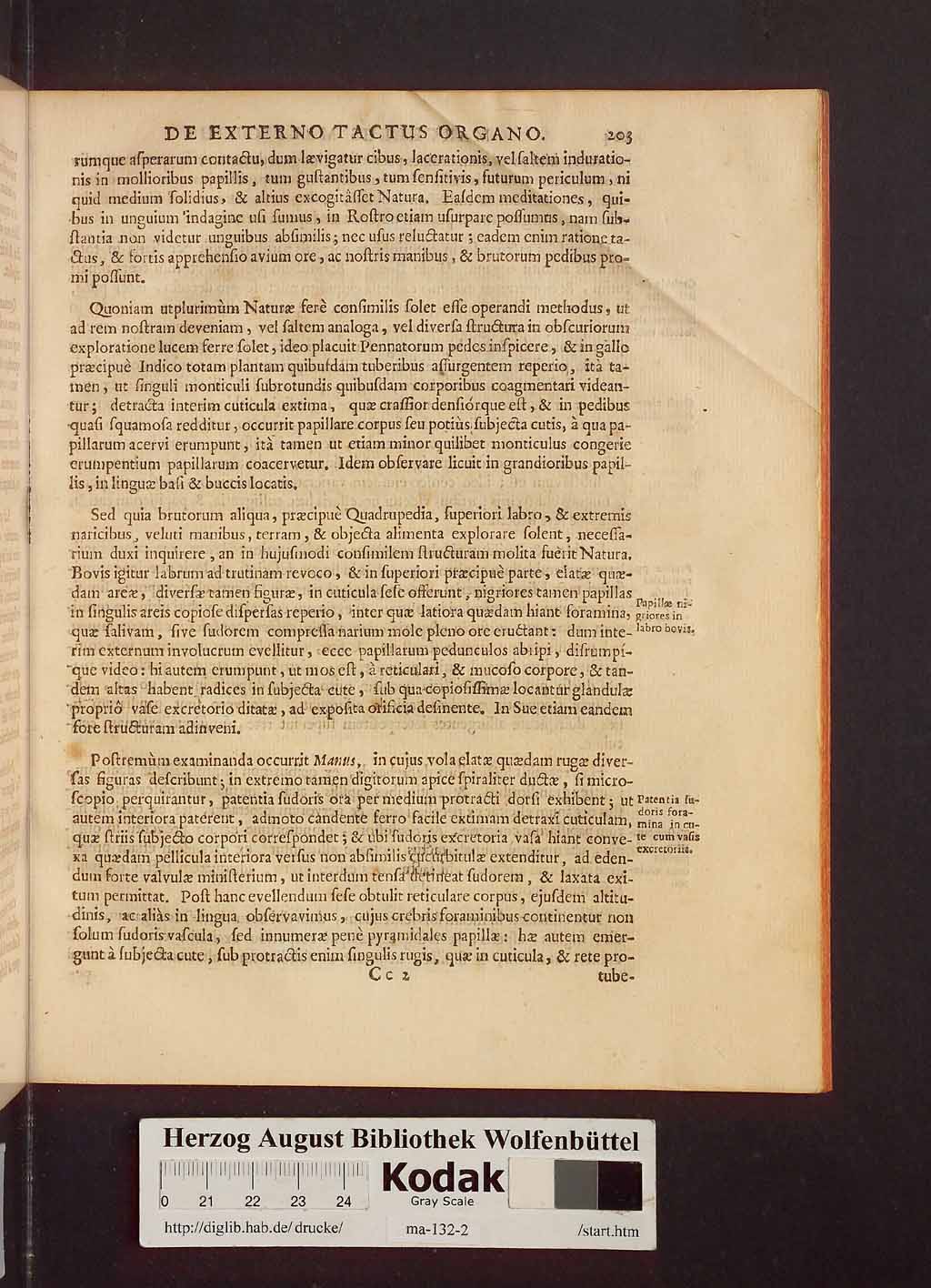 http://diglib.hab.de/drucke/ma-132-2/00207.jpg