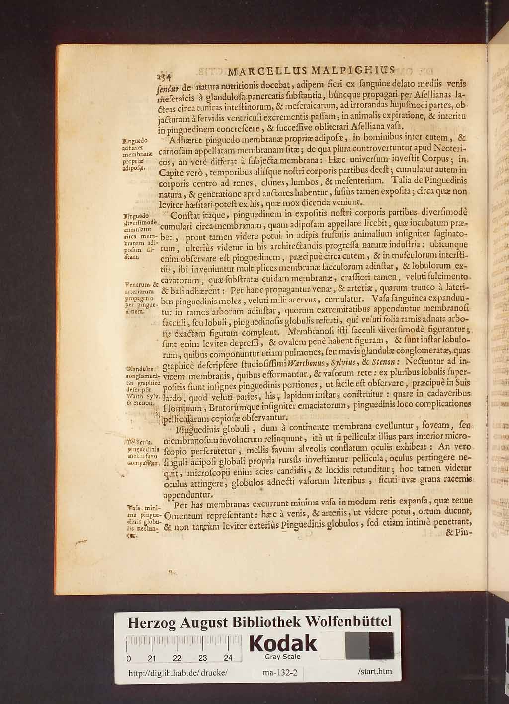 http://diglib.hab.de/drucke/ma-132-2/00238.jpg