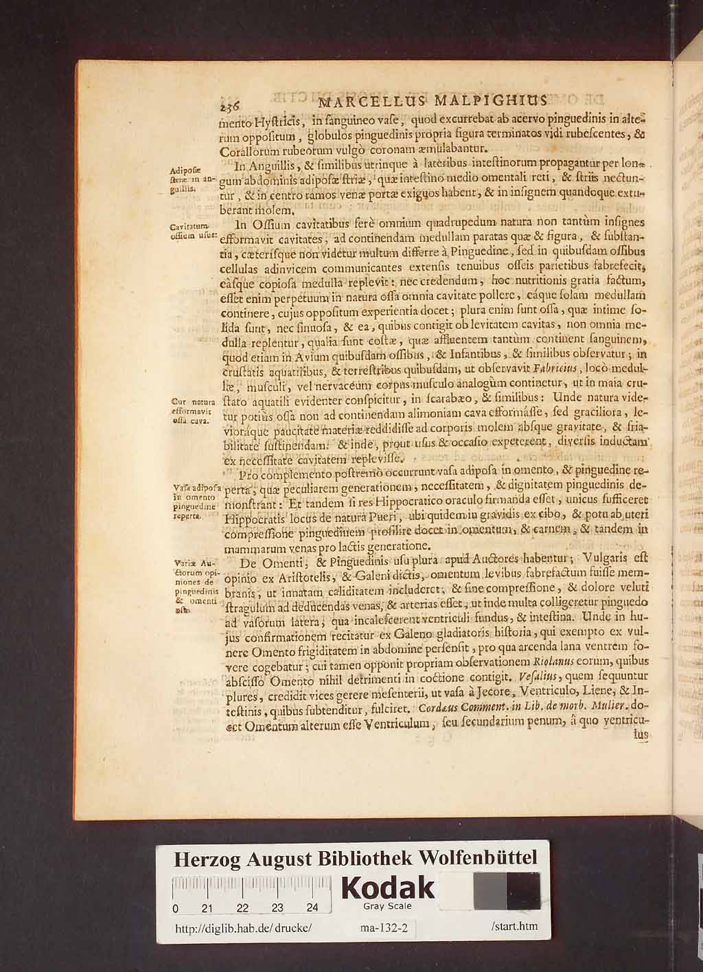 http://diglib.hab.de/drucke/ma-132-2/00240.jpg