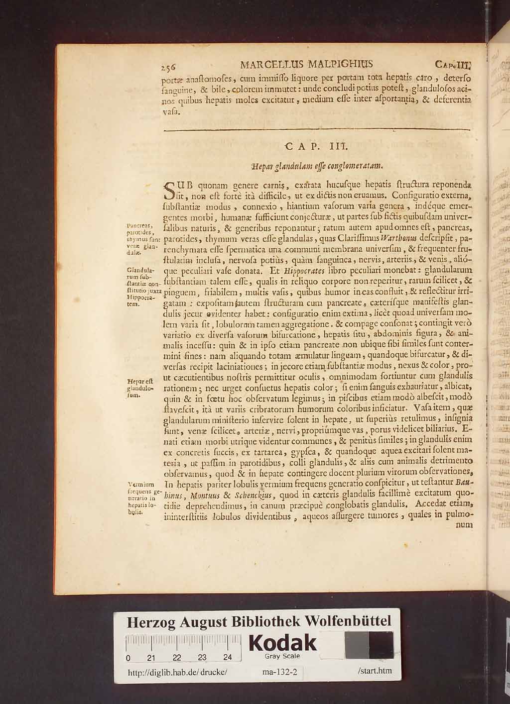 http://diglib.hab.de/drucke/ma-132-2/00260.jpg