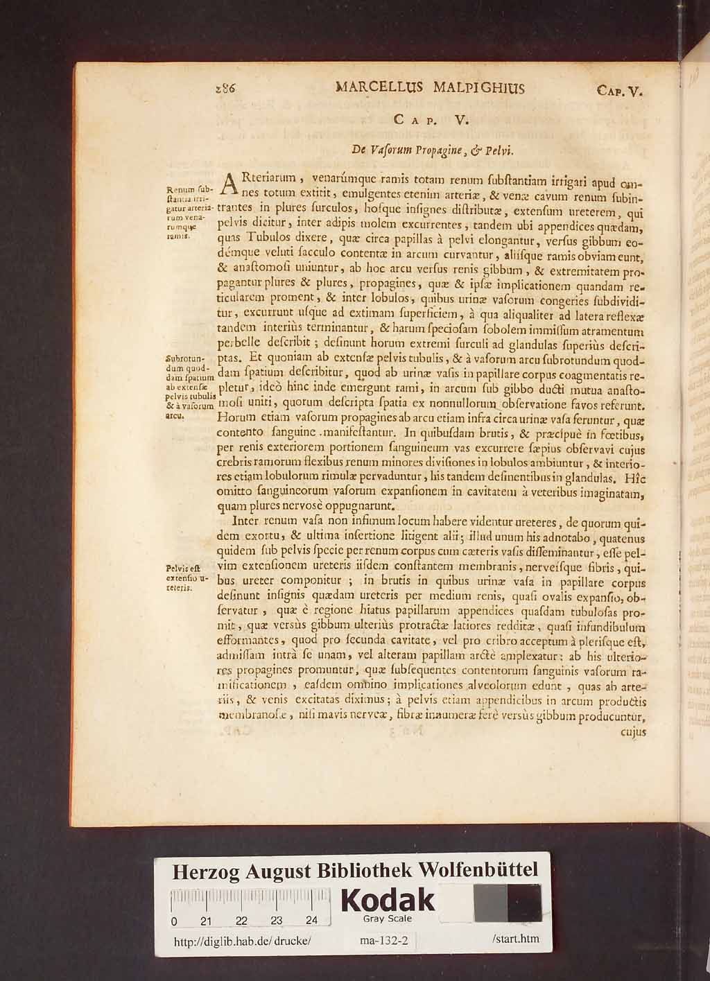 http://diglib.hab.de/drucke/ma-132-2/00290.jpg