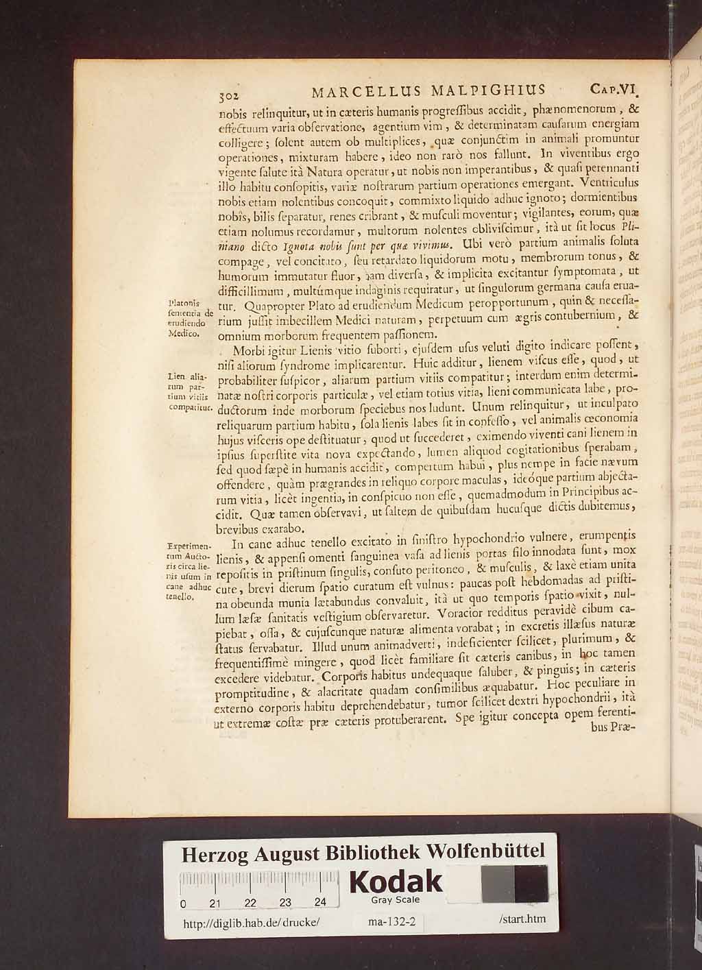 http://diglib.hab.de/drucke/ma-132-2/00306.jpg