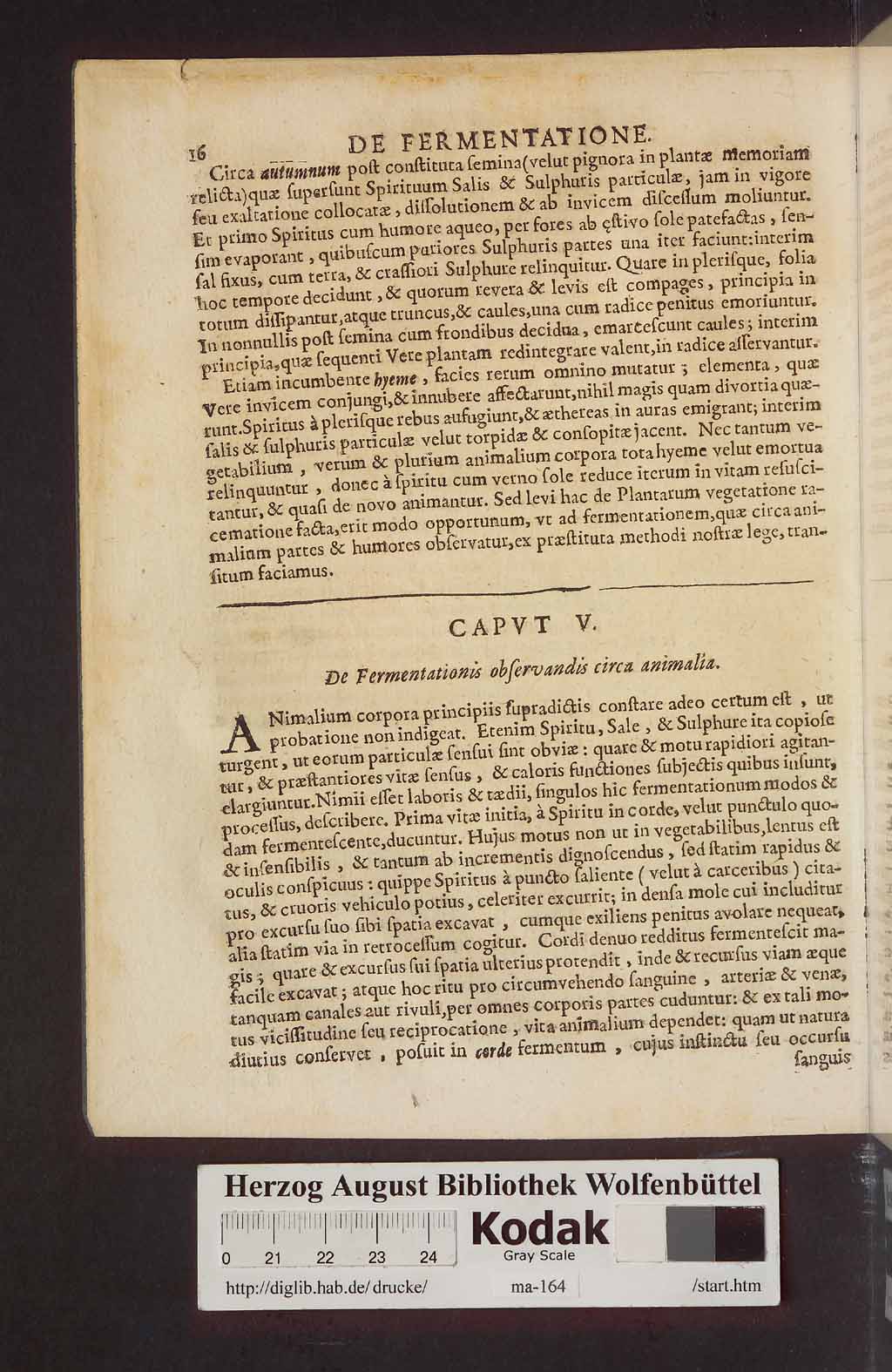 http://diglib.hab.de/drucke/ma-164/00054.jpg