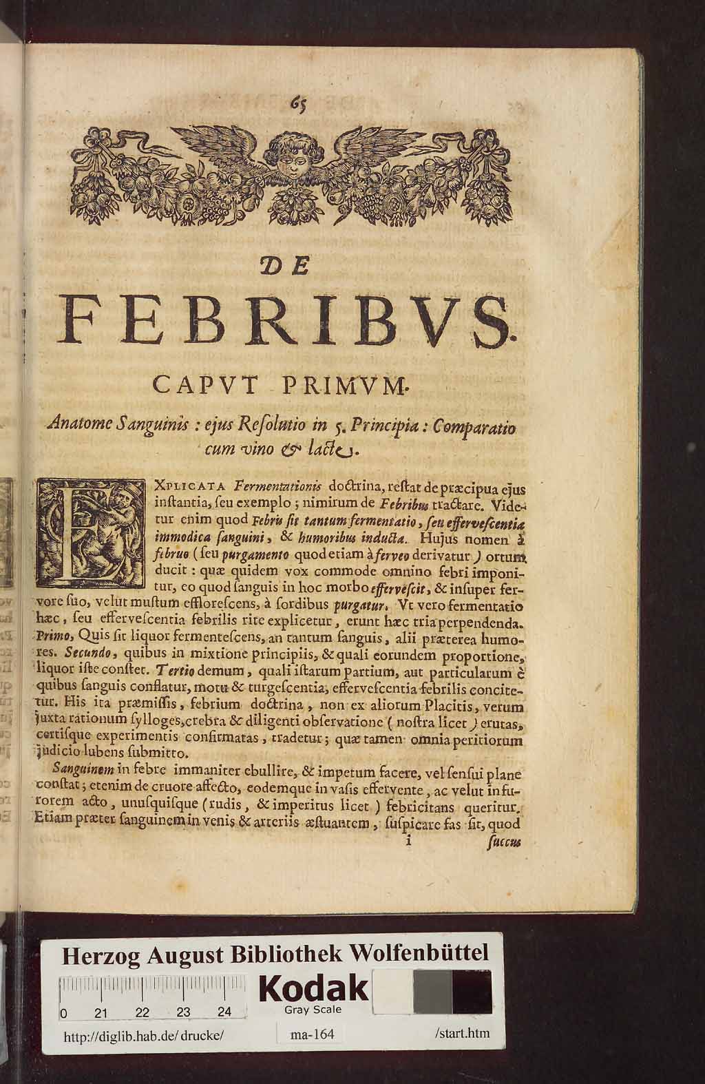 http://diglib.hab.de/drucke/ma-164/00103.jpg