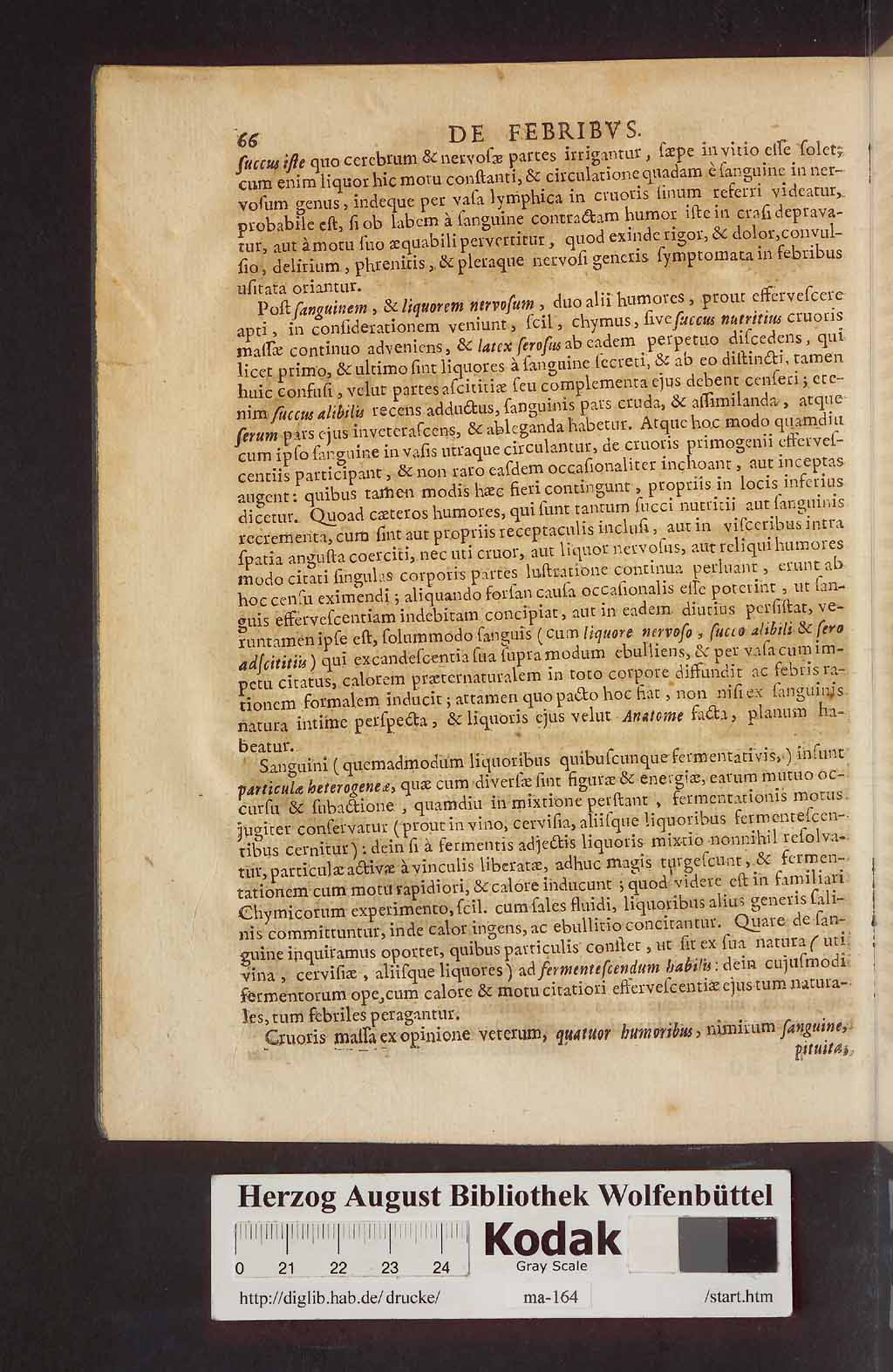 http://diglib.hab.de/drucke/ma-164/00104.jpg