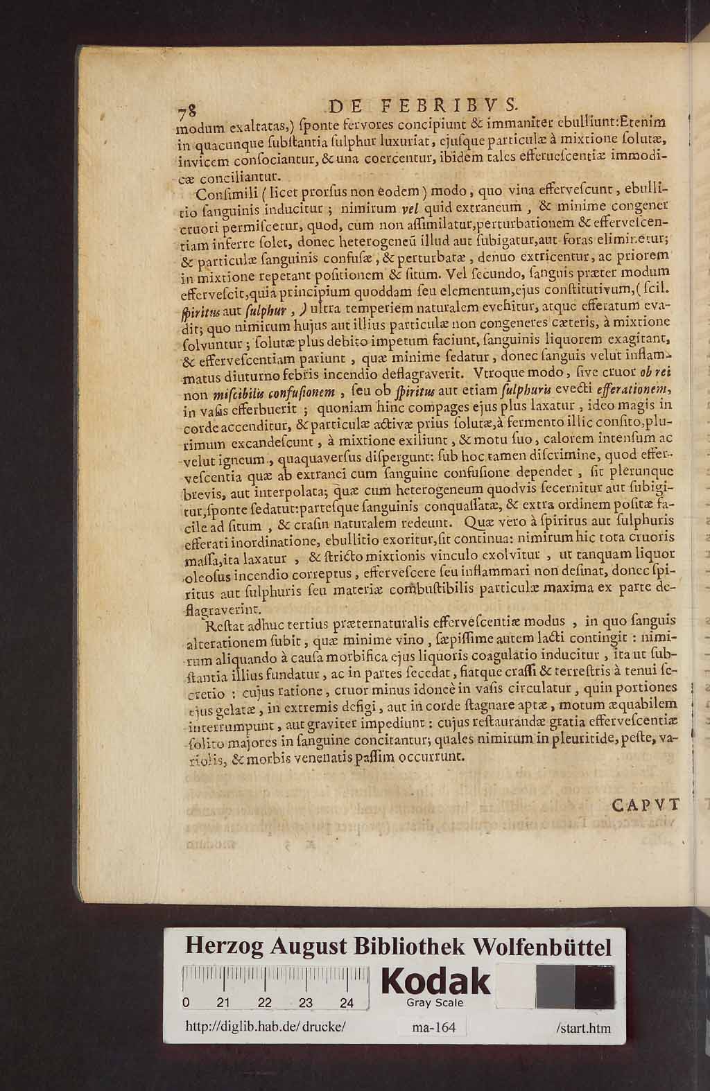http://diglib.hab.de/drucke/ma-164/00116.jpg