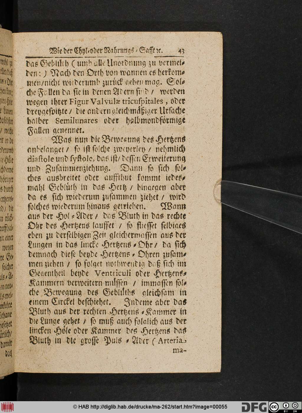 http://diglib.hab.de/drucke/ma-262/00055.jpg