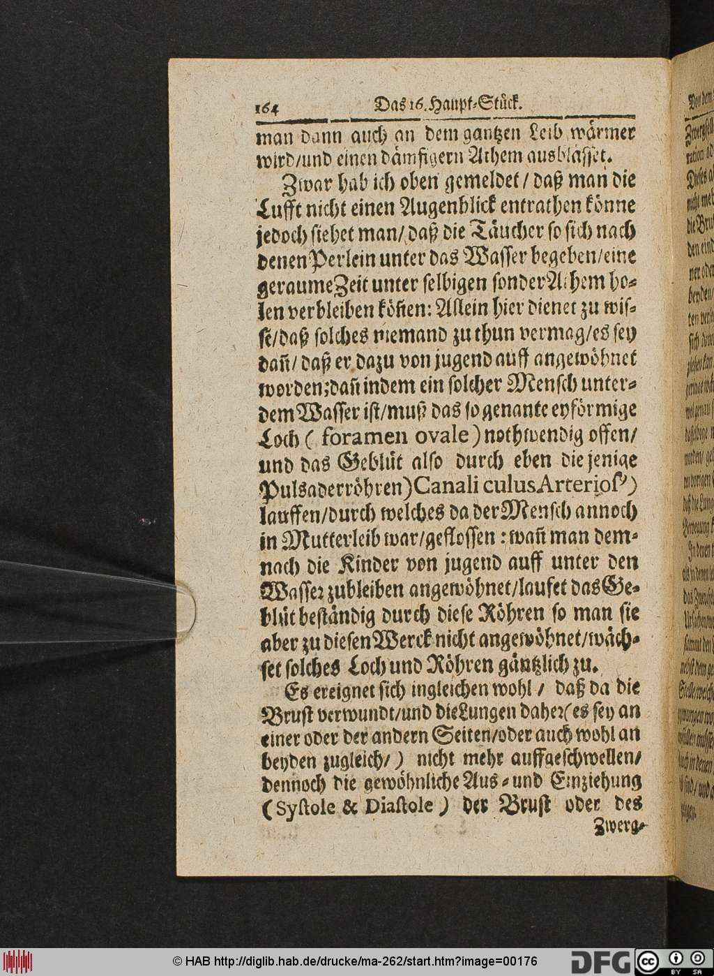http://diglib.hab.de/drucke/ma-262/00176.jpg