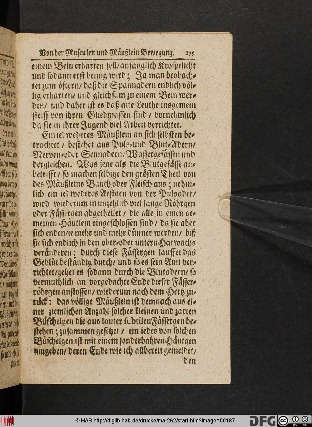 http://diglib.hab.de/drucke/ma-262/00187.jpg