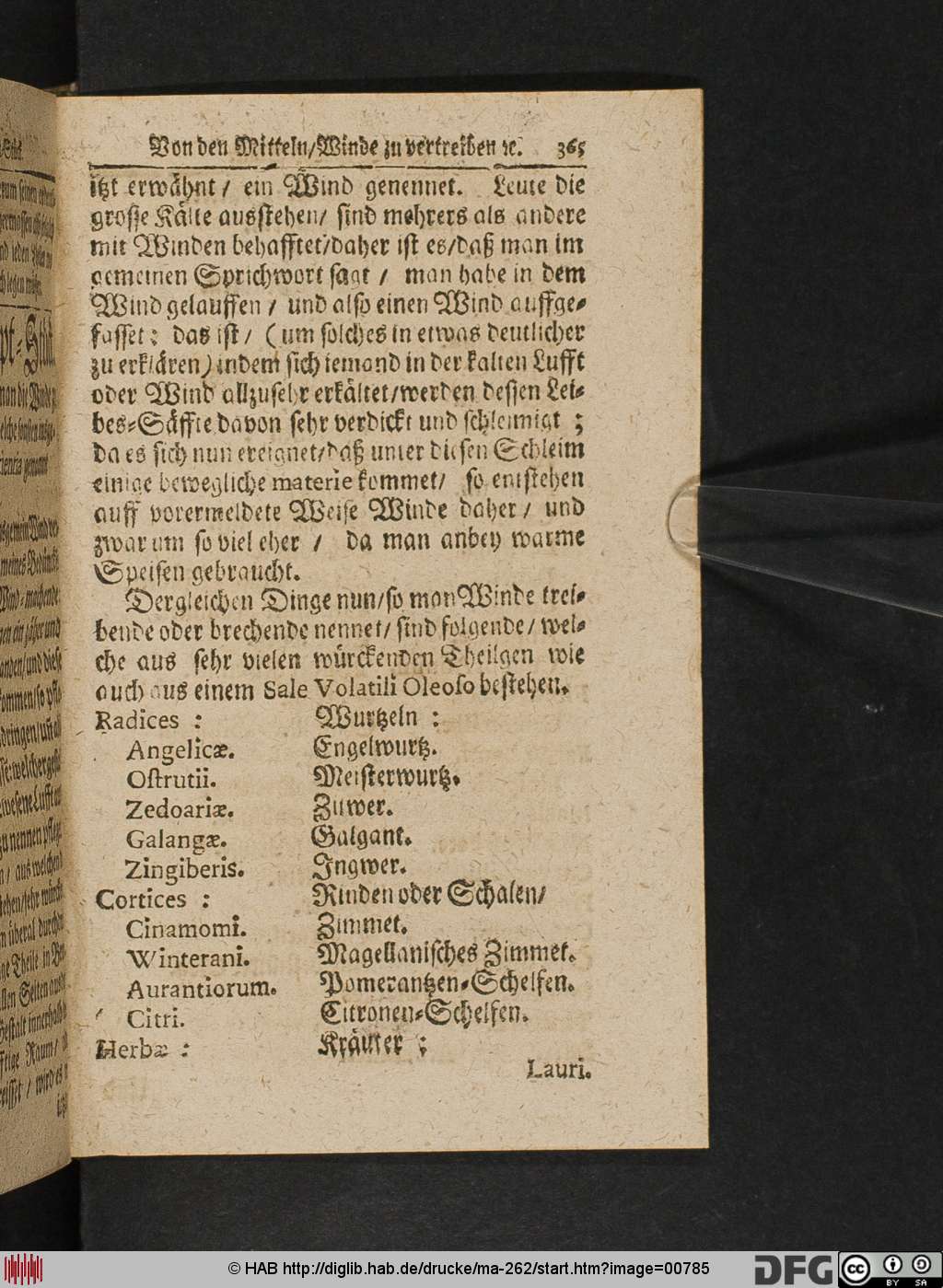 http://diglib.hab.de/drucke/ma-262/00785.jpg