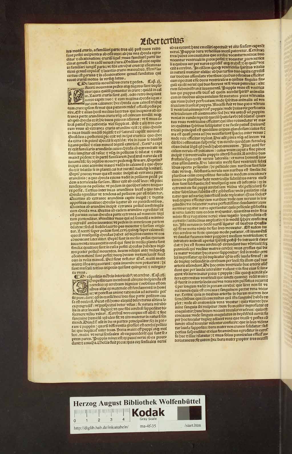 http://diglib.hab.de/drucke/ma-4f-35/00482.jpg