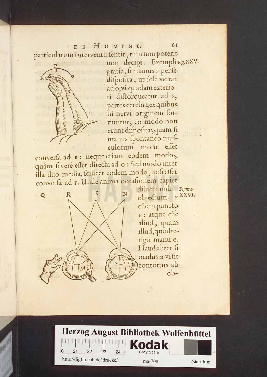 http://diglib.hab.de/drucke/ma-708/00103.jpg