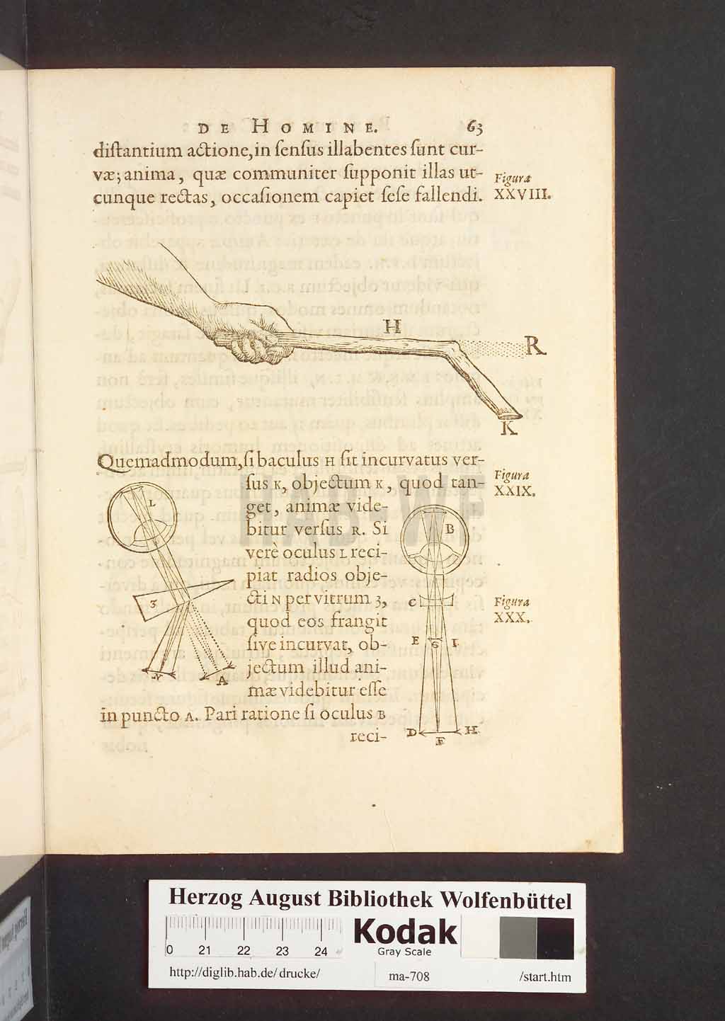 http://diglib.hab.de/drucke/ma-708/00105.jpg