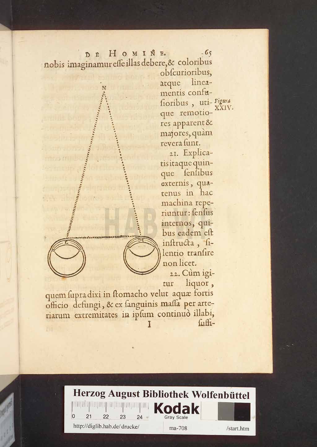 http://diglib.hab.de/drucke/ma-708/00107.jpg