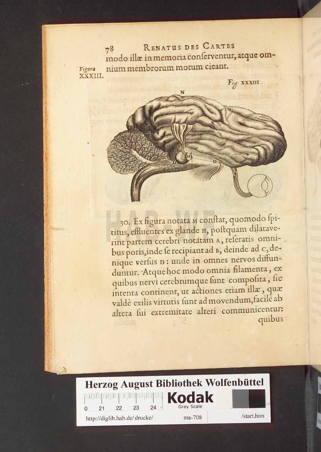 http://diglib.hab.de/drucke/ma-708/00120.jpg