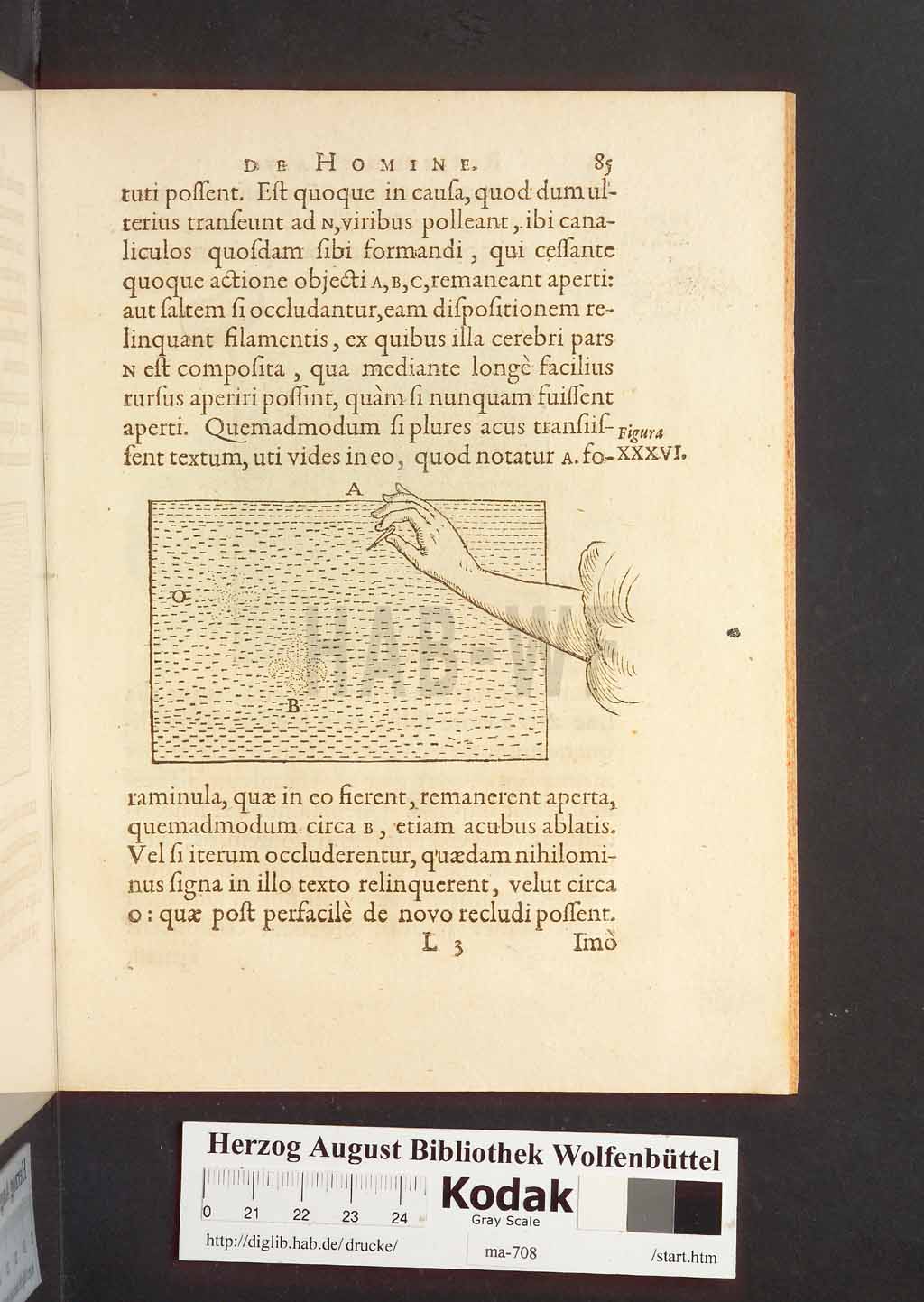 http://diglib.hab.de/drucke/ma-708/00127.jpg