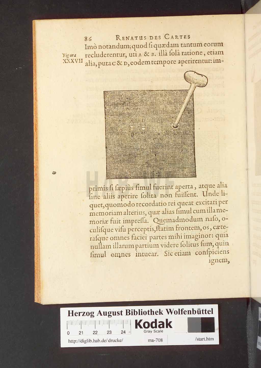 http://diglib.hab.de/drucke/ma-708/00128.jpg