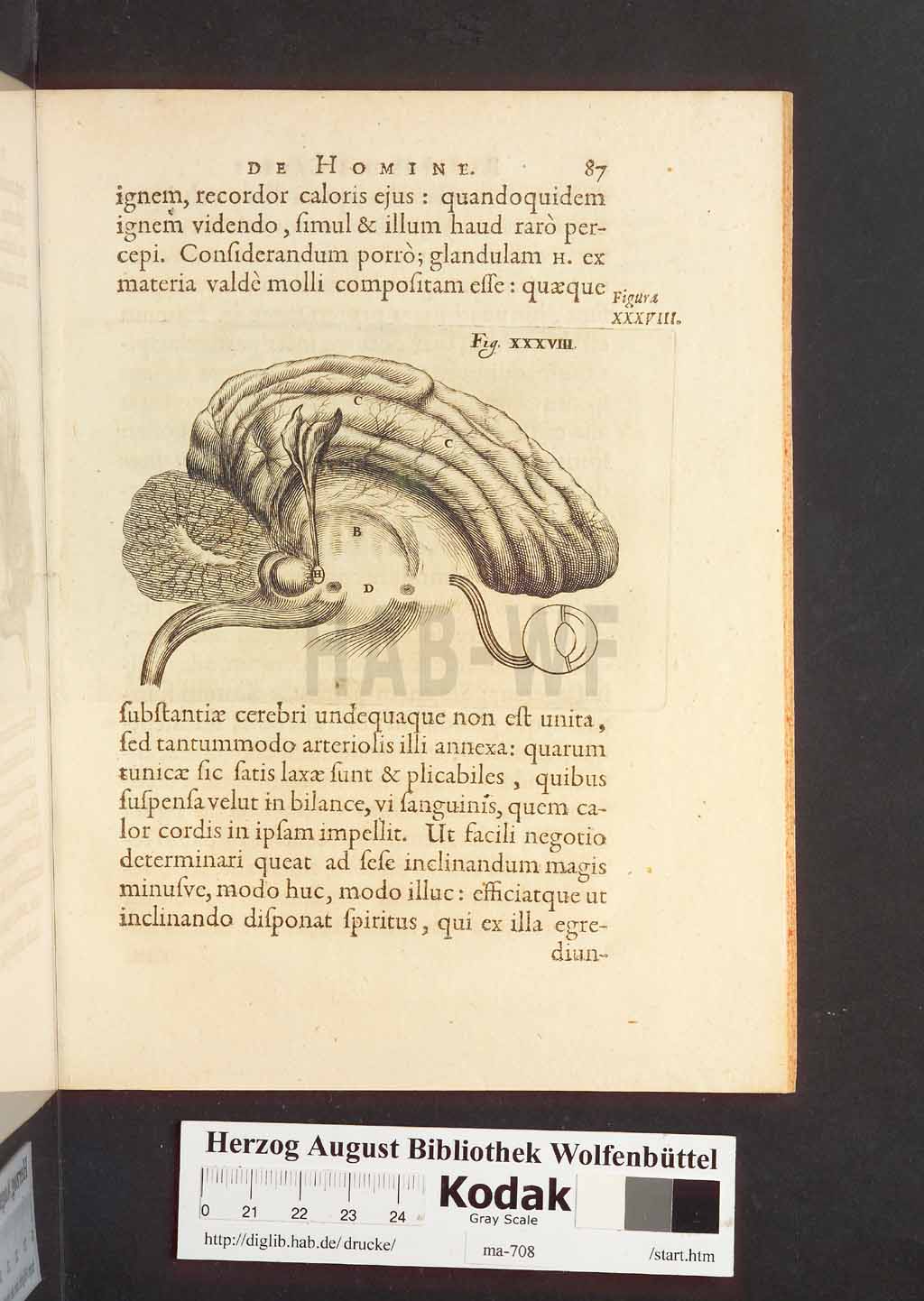 http://diglib.hab.de/drucke/ma-708/00129.jpg