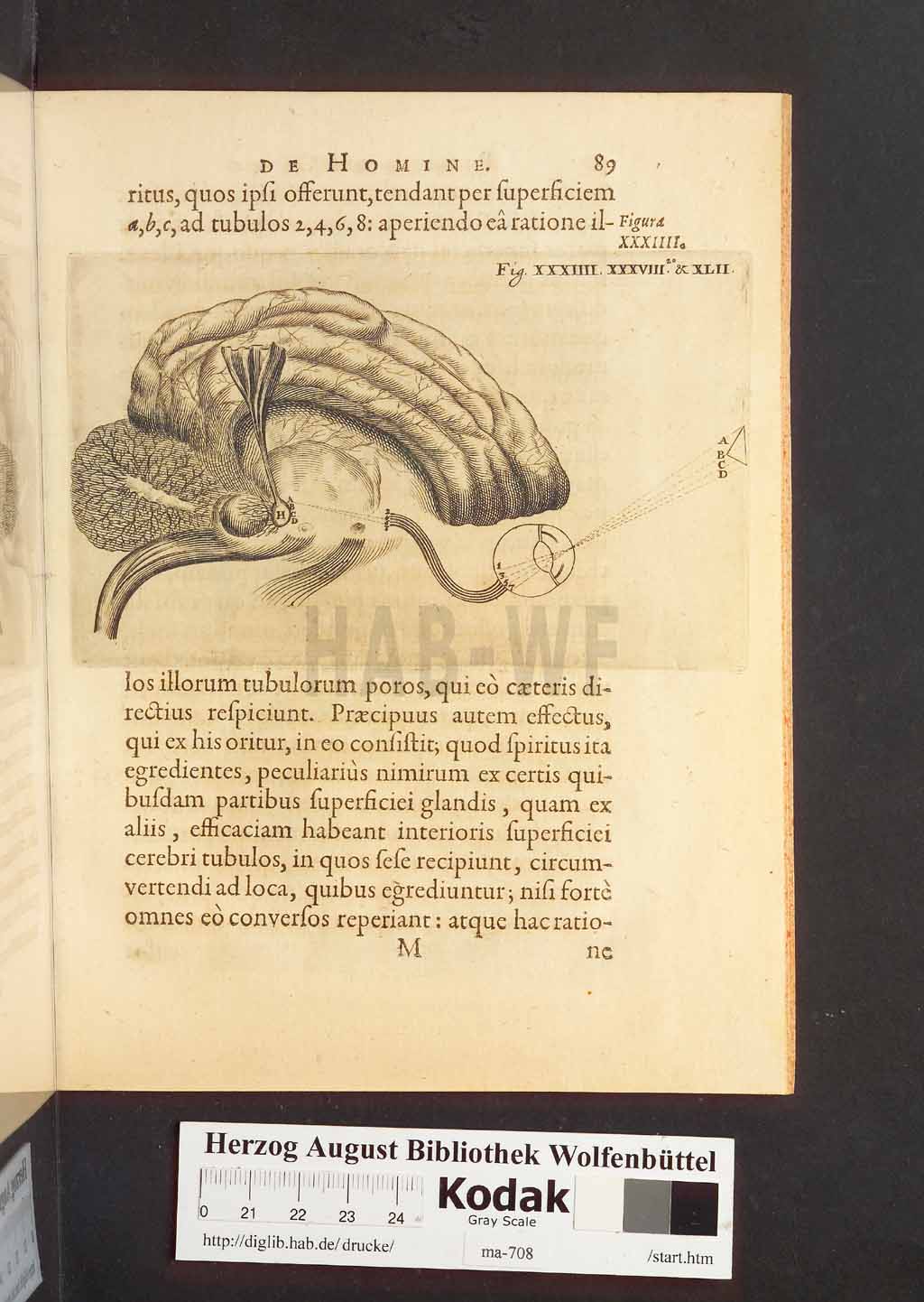 http://diglib.hab.de/drucke/ma-708/00131.jpg