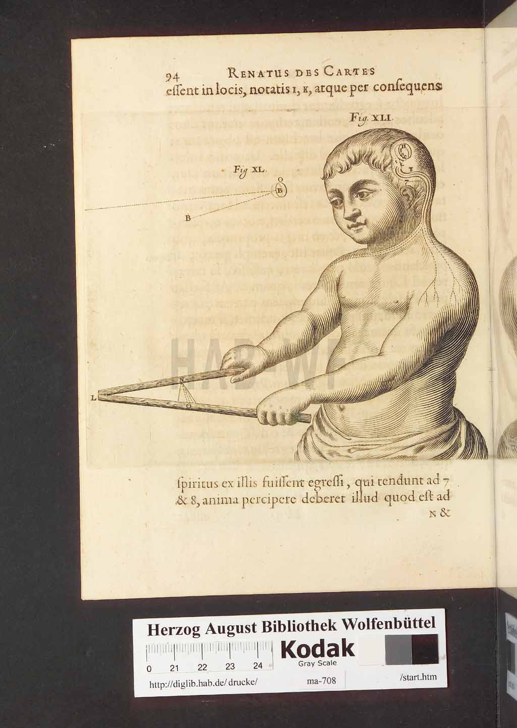 http://diglib.hab.de/drucke/ma-708/00136.jpg