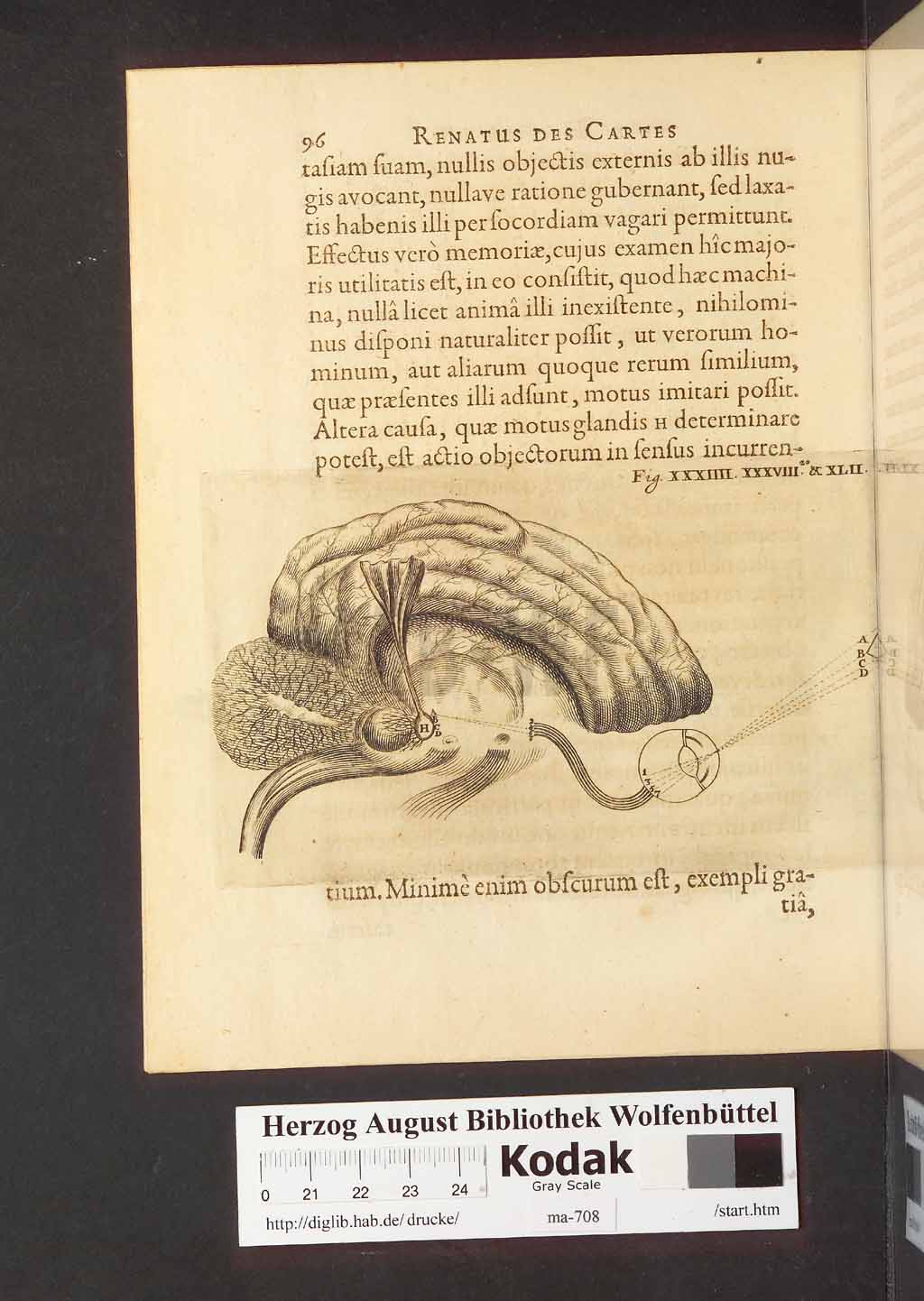 http://diglib.hab.de/drucke/ma-708/00138.jpg