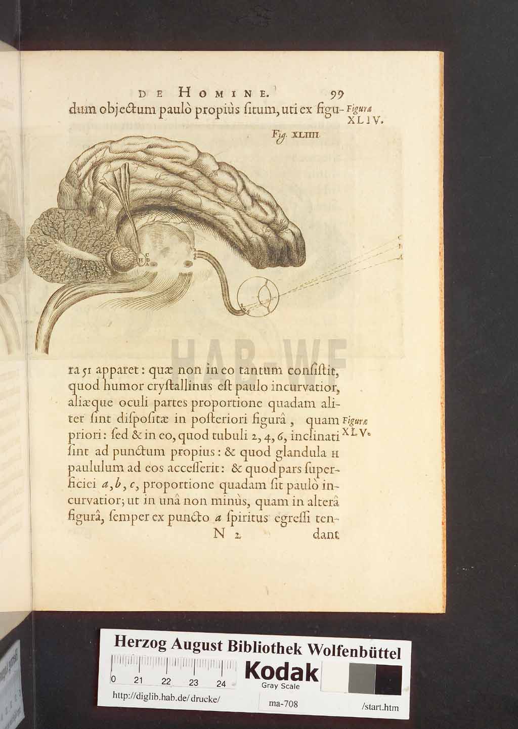 http://diglib.hab.de/drucke/ma-708/00141.jpg