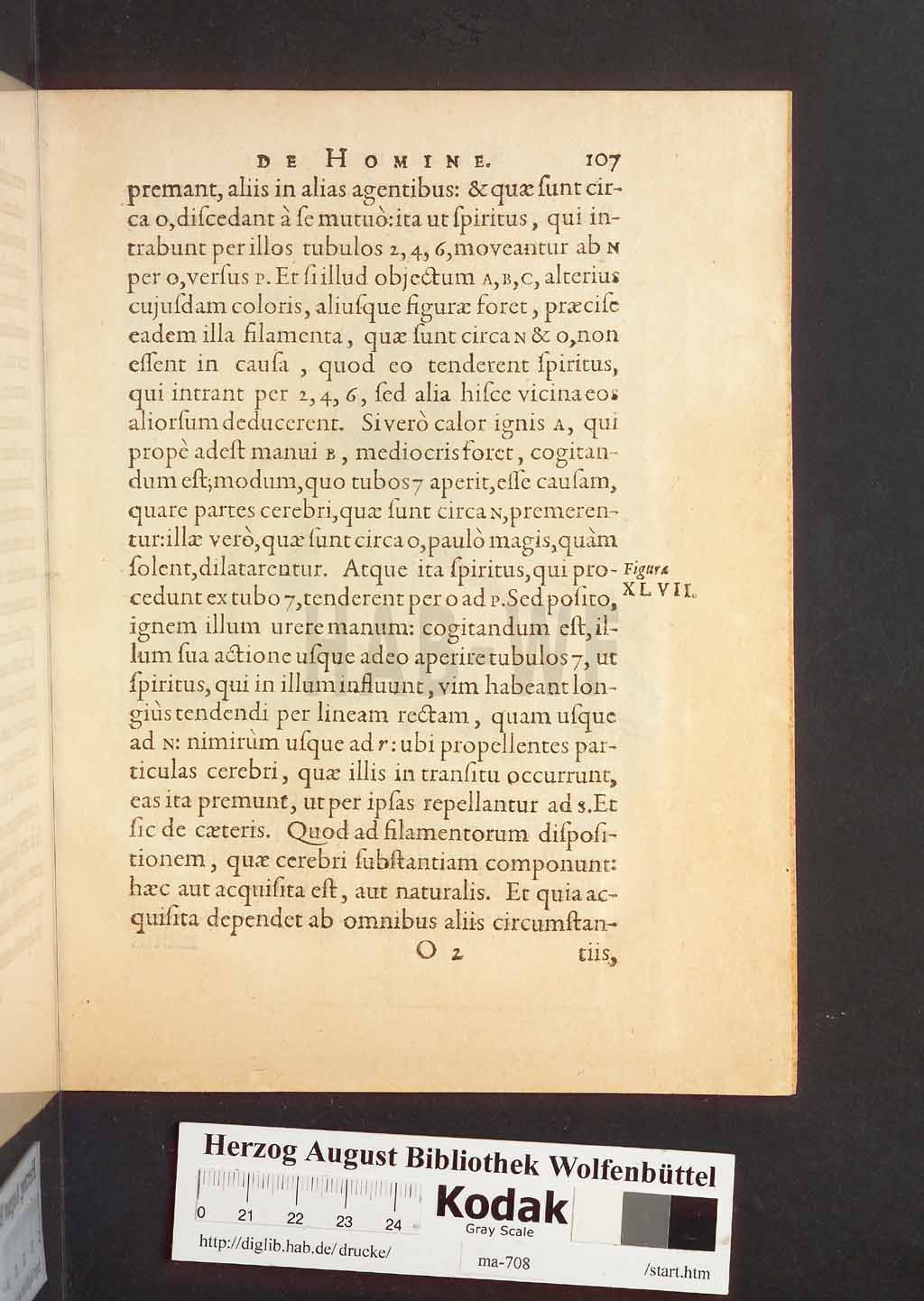 http://diglib.hab.de/drucke/ma-708/00149.jpg