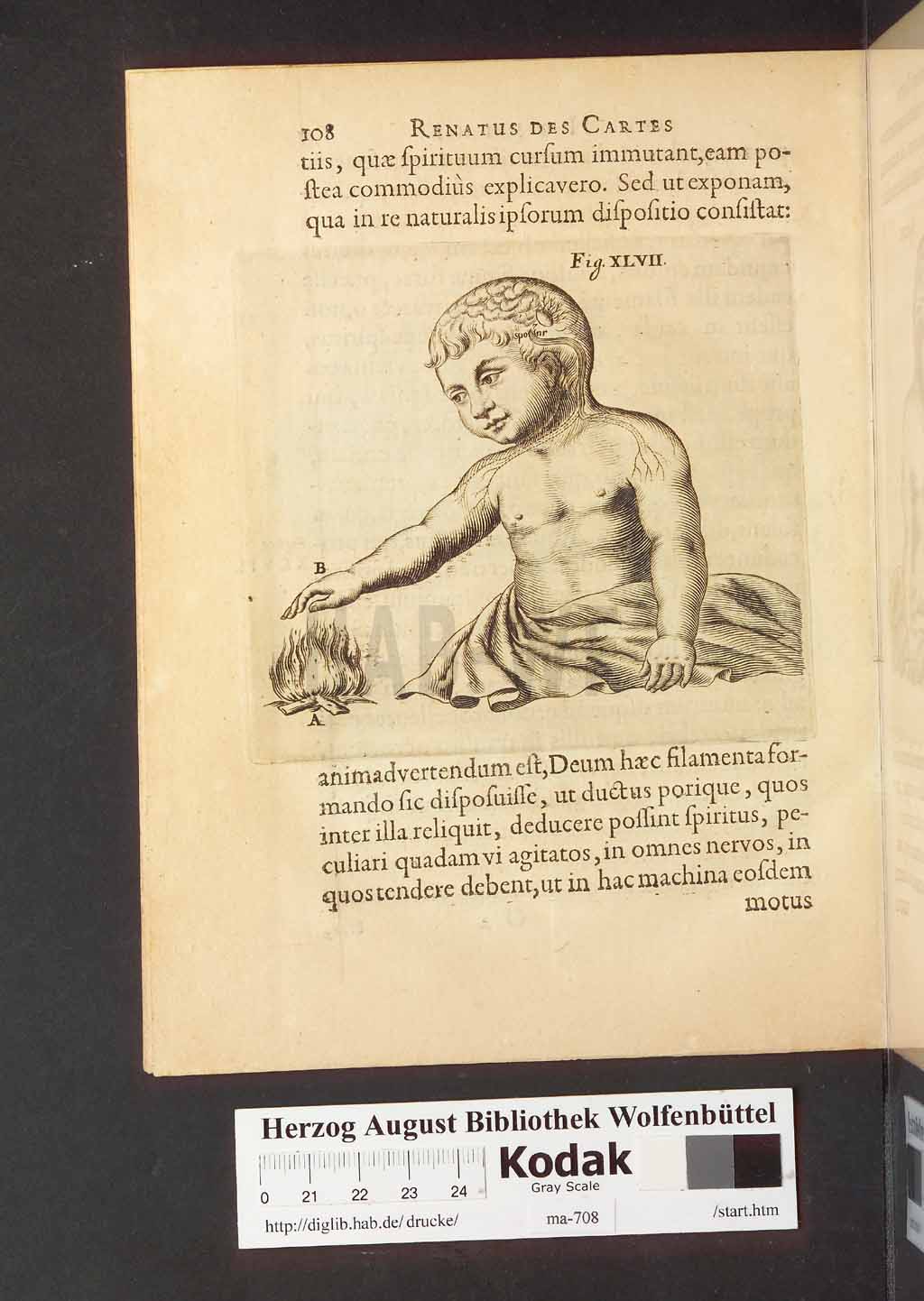 http://diglib.hab.de/drucke/ma-708/00150.jpg