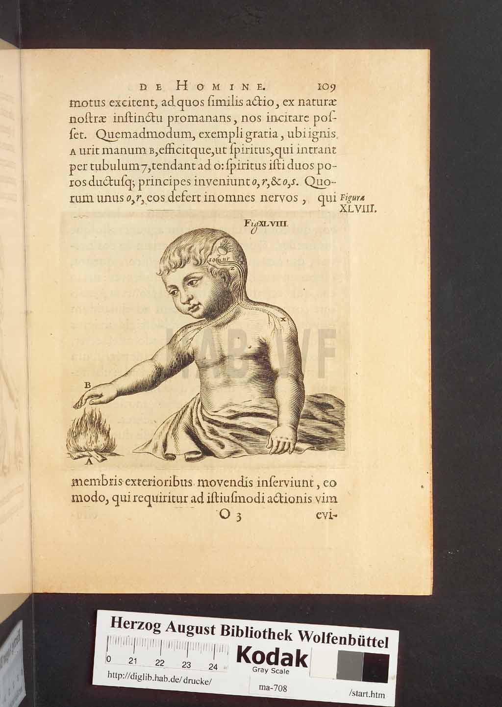 http://diglib.hab.de/drucke/ma-708/00151.jpg