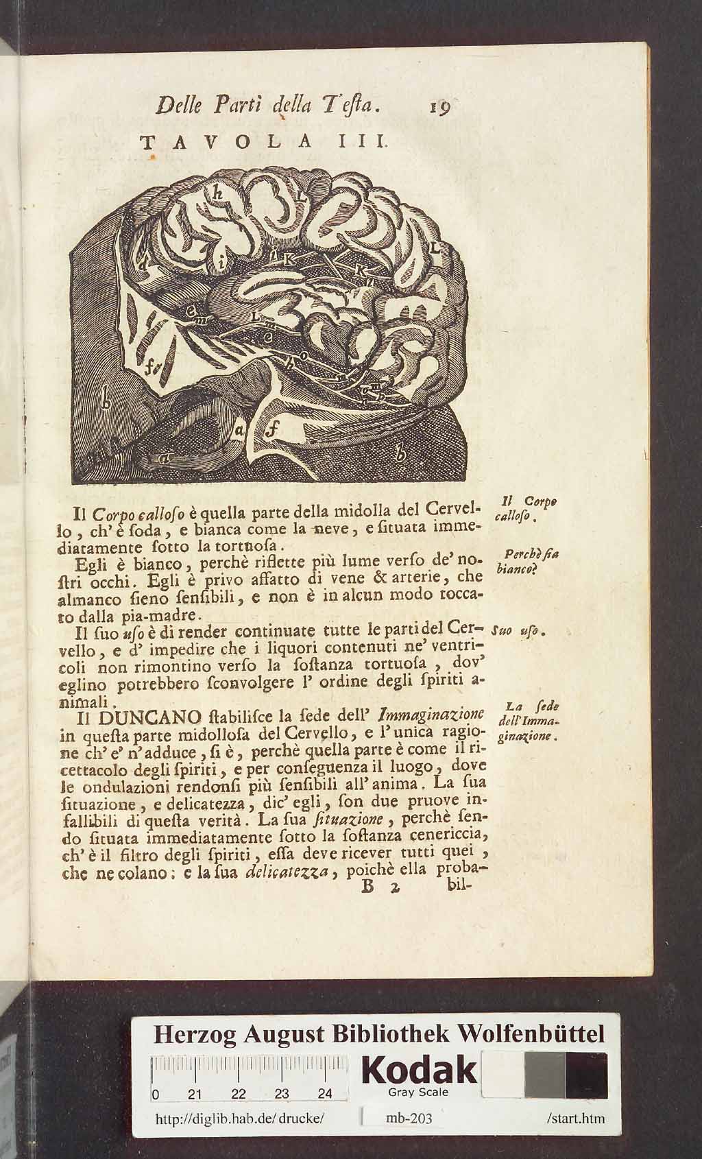 http://diglib.hab.de/drucke/mb-203/00031.jpg