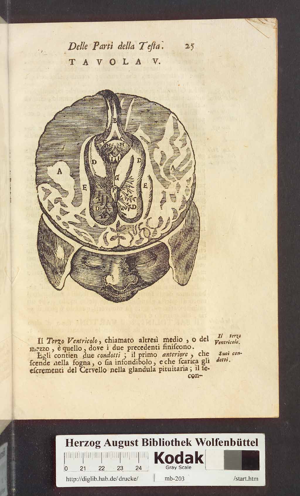 http://diglib.hab.de/drucke/mb-203/00037.jpg