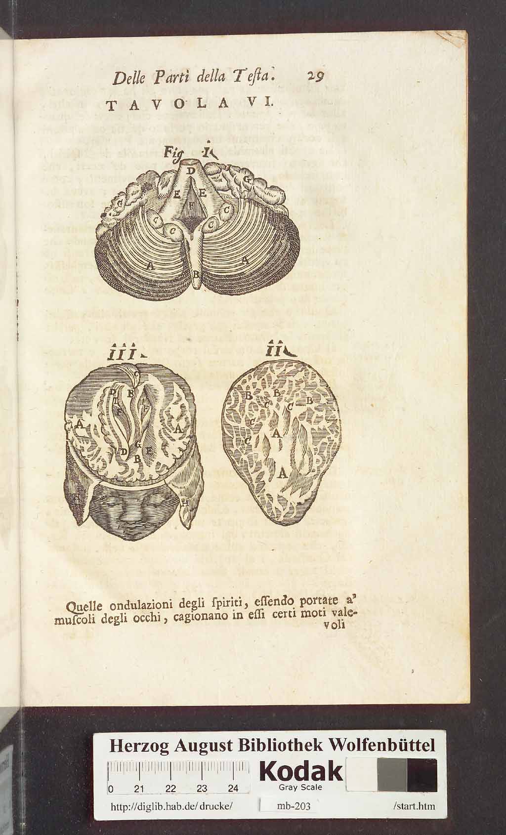 http://diglib.hab.de/drucke/mb-203/00041.jpg