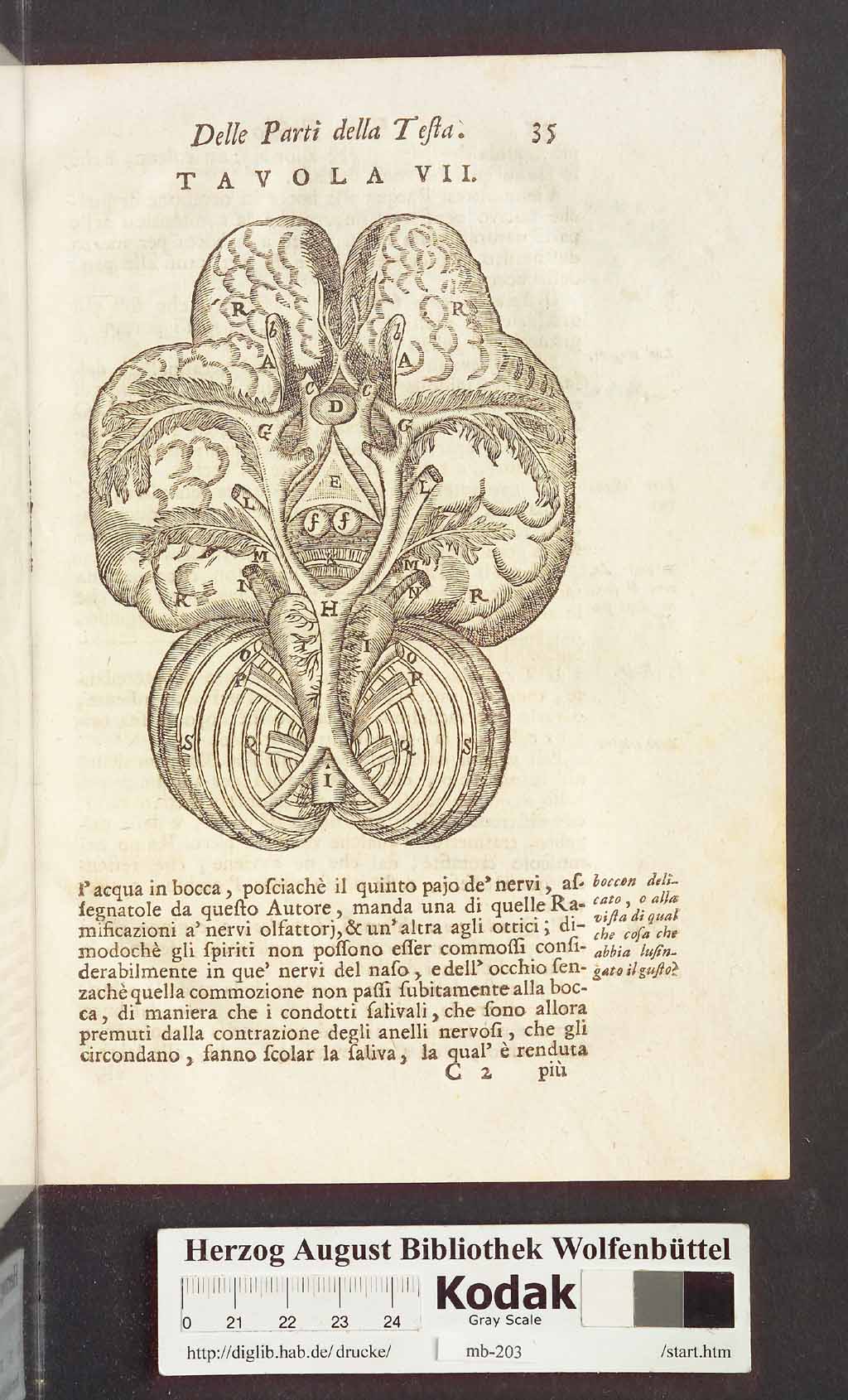 http://diglib.hab.de/drucke/mb-203/00047.jpg