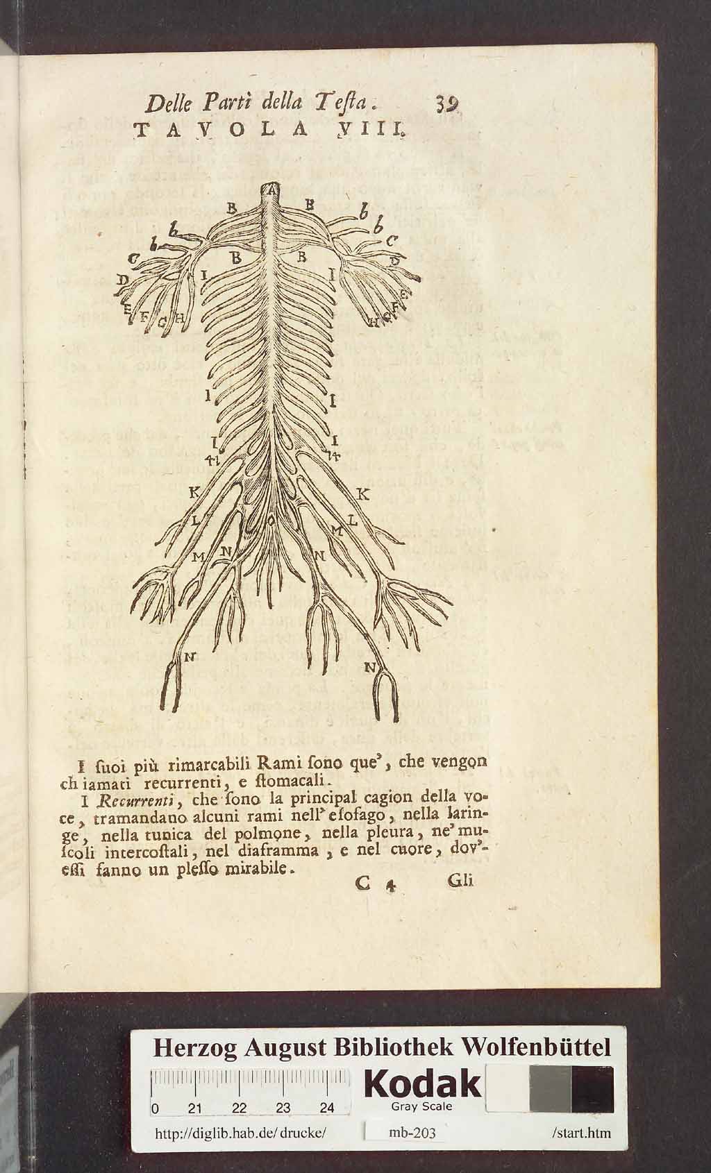 http://diglib.hab.de/drucke/mb-203/00051.jpg