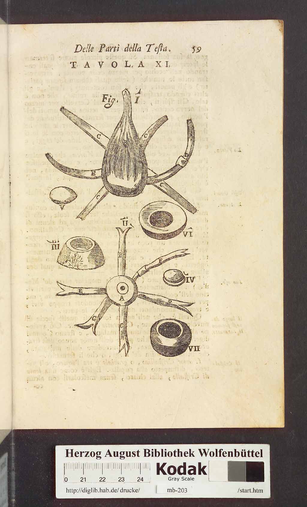 http://diglib.hab.de/drucke/mb-203/00071.jpg