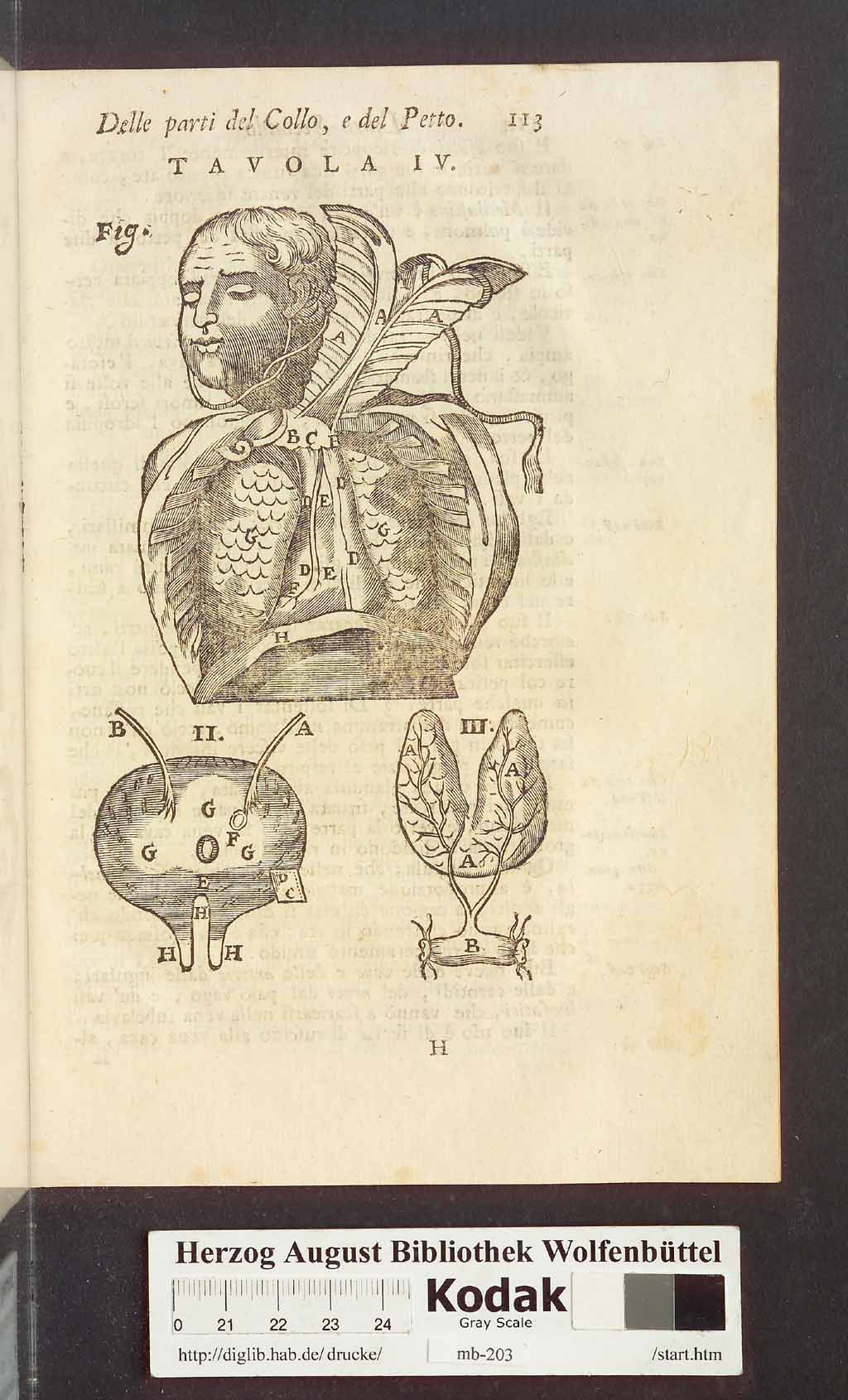 http://diglib.hab.de/drucke/mb-203/00125.jpg