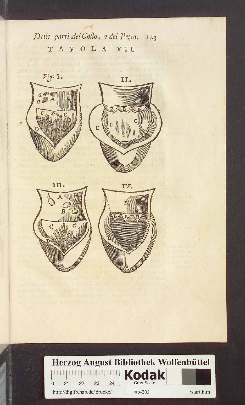 http://diglib.hab.de/drucke/mb-203/00135.jpg