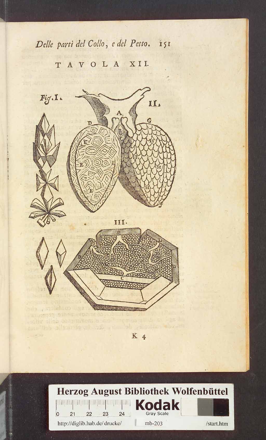 http://diglib.hab.de/drucke/mb-203/00163.jpg