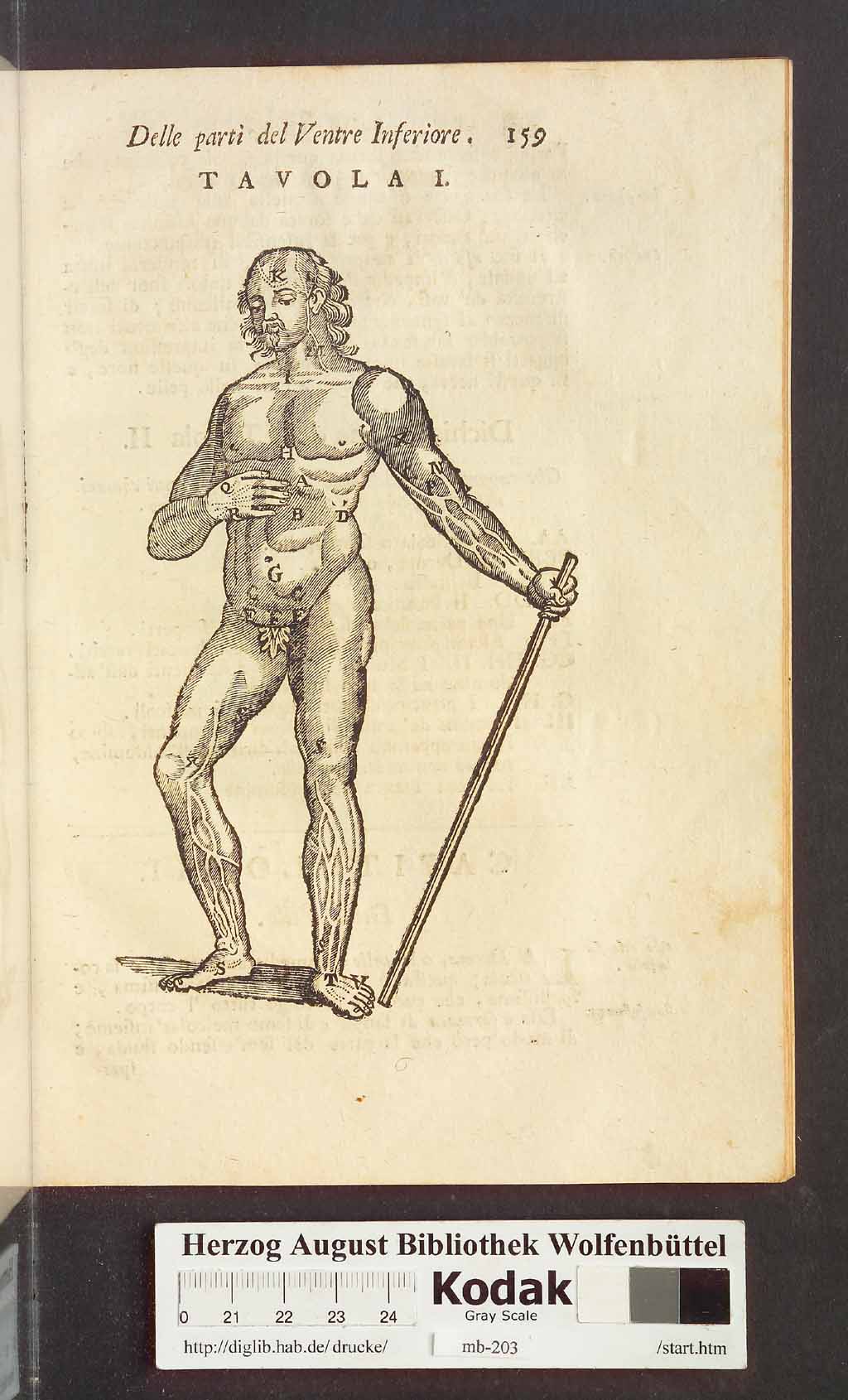 http://diglib.hab.de/drucke/mb-203/00171.jpg