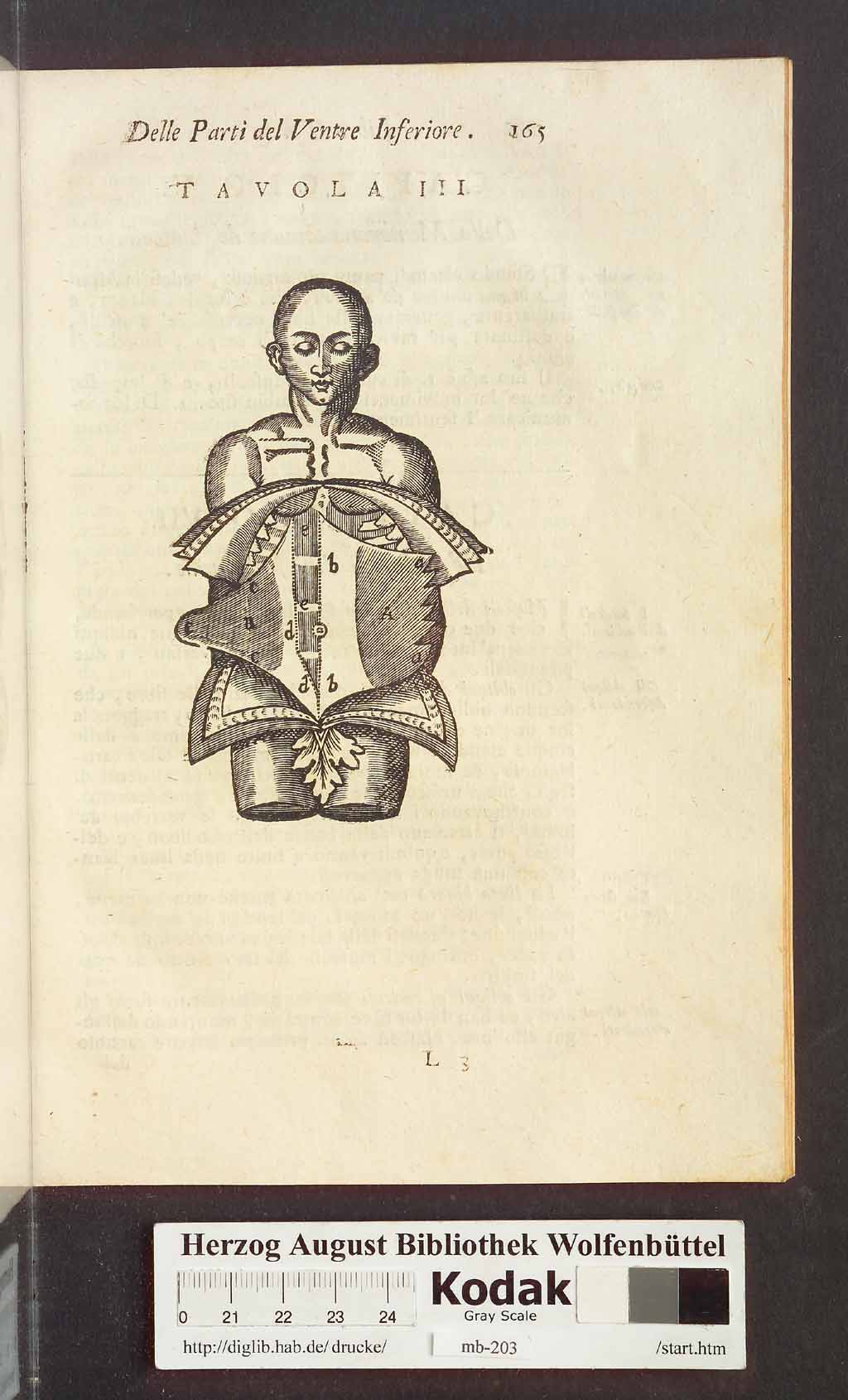 http://diglib.hab.de/drucke/mb-203/00177.jpg