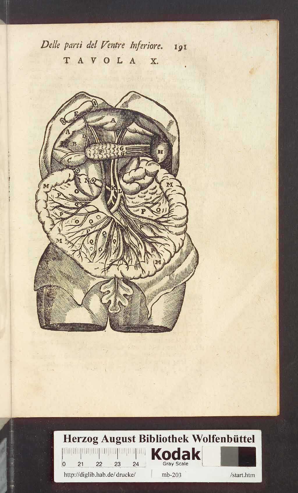 http://diglib.hab.de/drucke/mb-203/00203.jpg