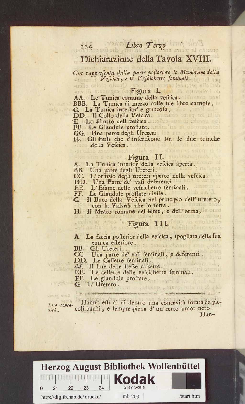http://diglib.hab.de/drucke/mb-203/00236.jpg