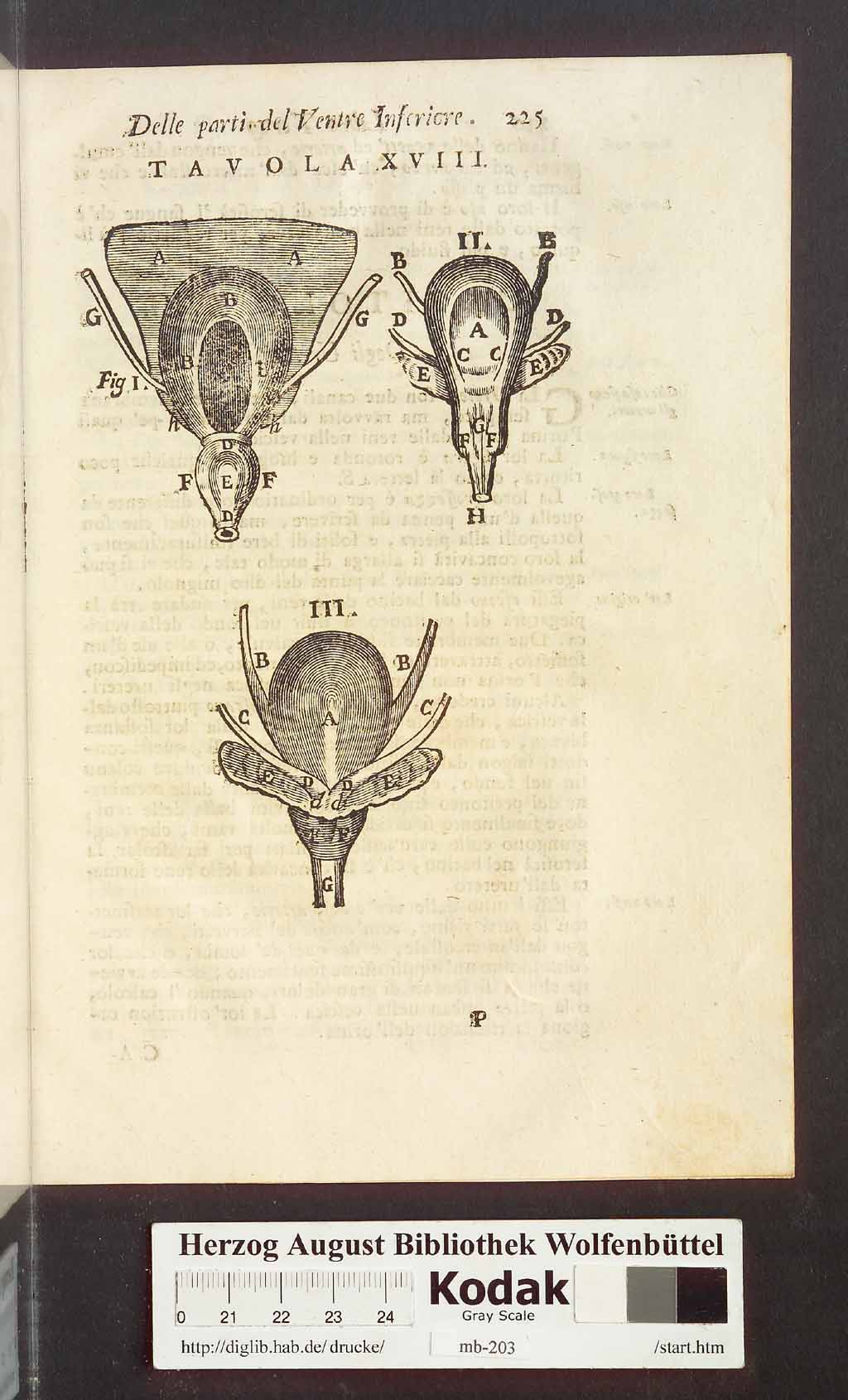 http://diglib.hab.de/drucke/mb-203/00237.jpg
