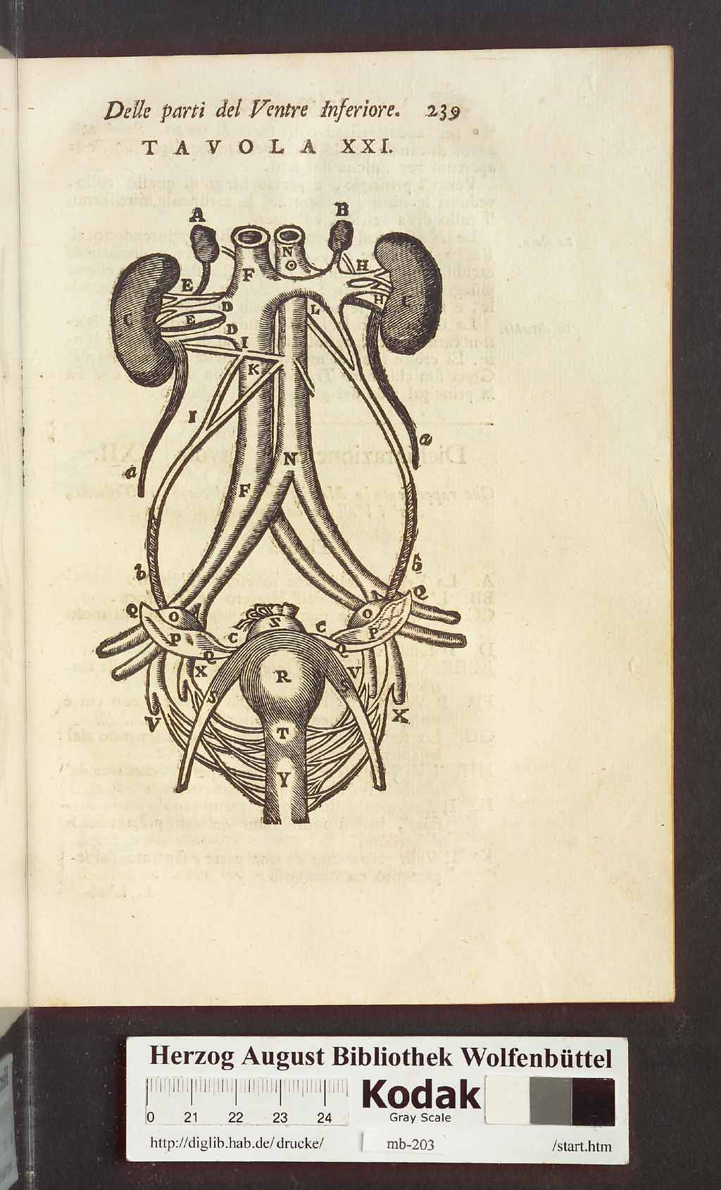 http://diglib.hab.de/drucke/mb-203/00251.jpg