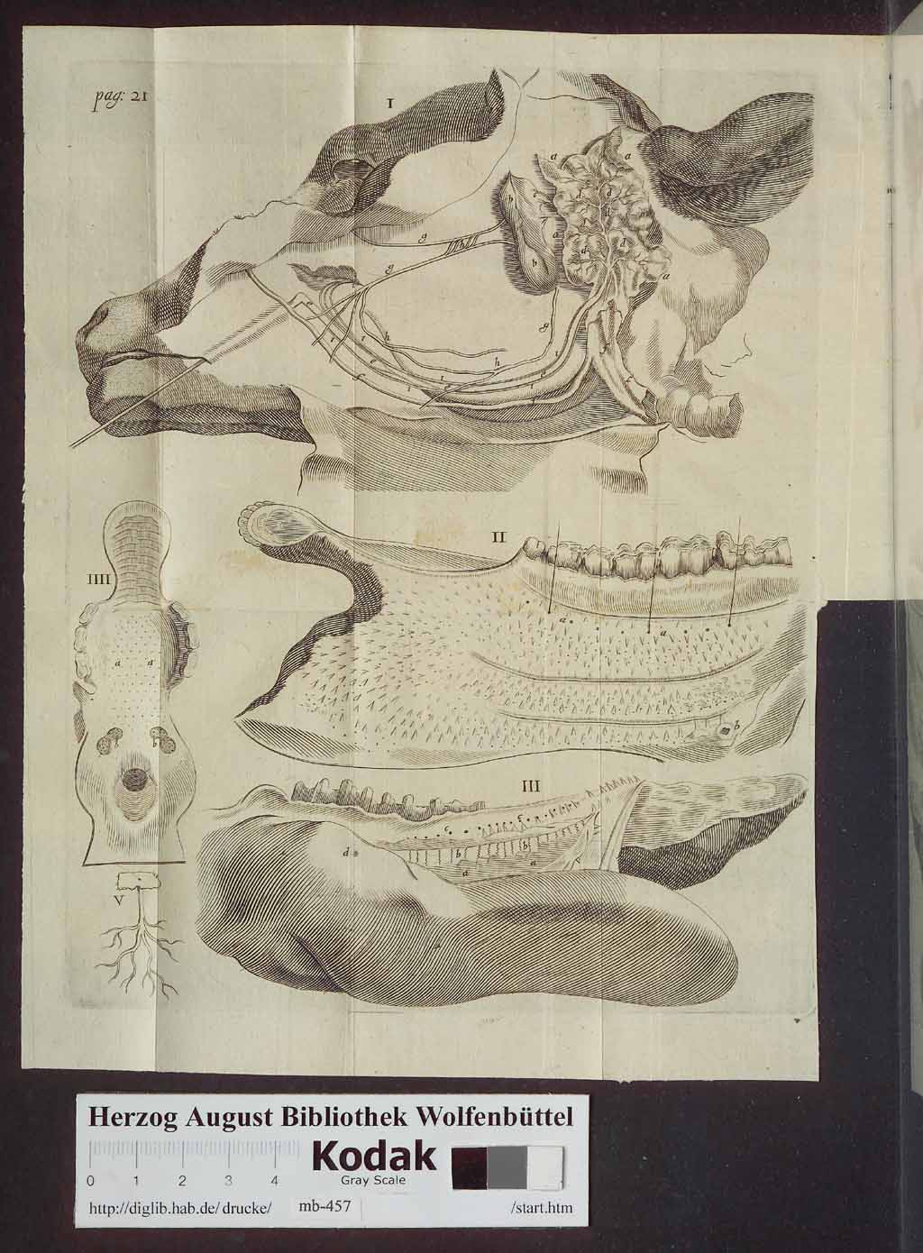 http://diglib.hab.de/drucke/mb-457/00038.jpg