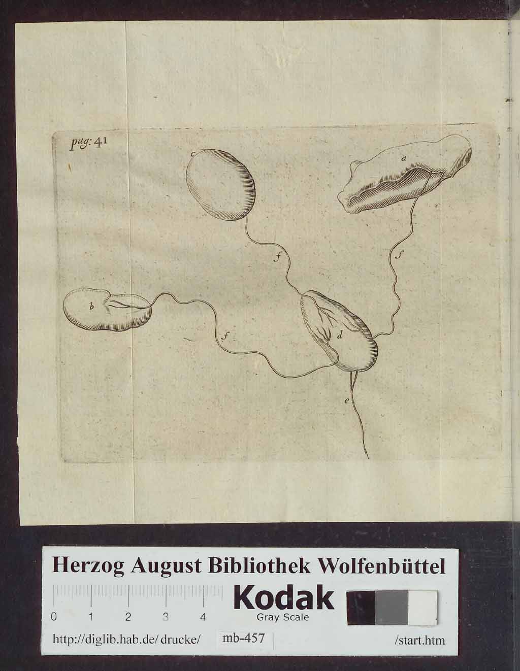 http://diglib.hab.de/drucke/mb-457/00060.jpg