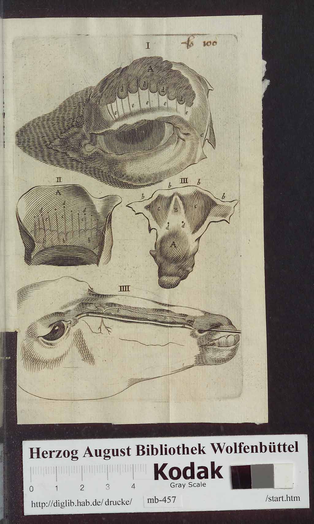http://diglib.hab.de/drucke/mb-457/00121.jpg