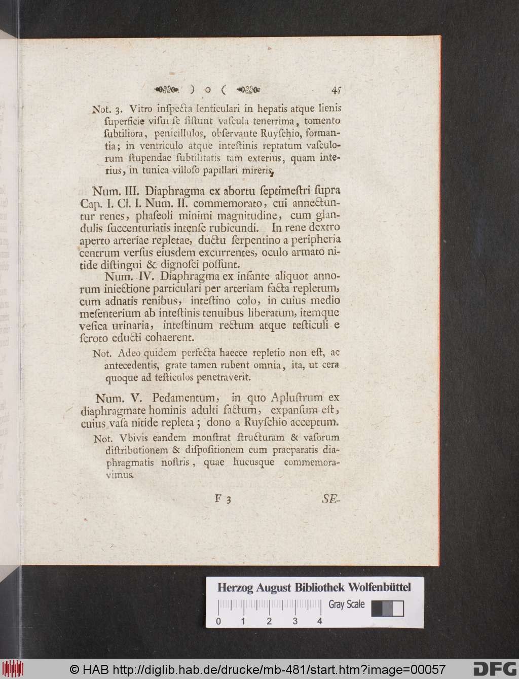 http://diglib.hab.de/drucke/mb-481/00057.jpg