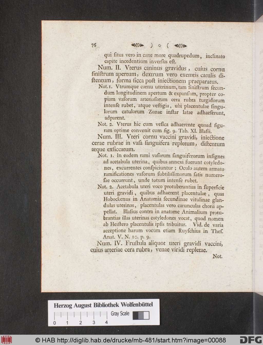 http://diglib.hab.de/drucke/mb-481/00088.jpg