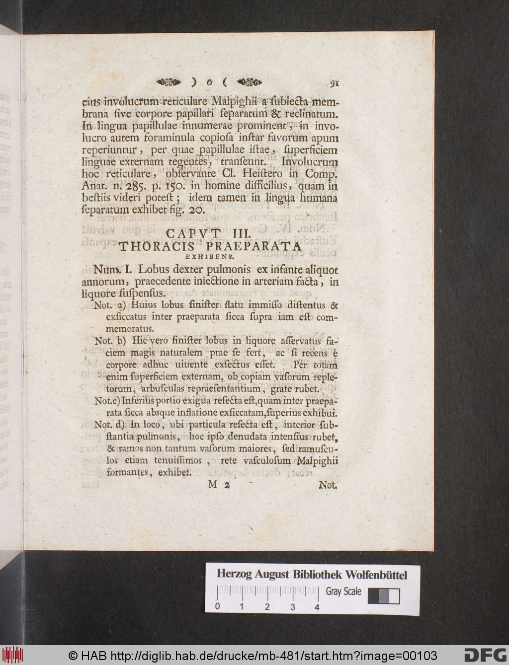 http://diglib.hab.de/drucke/mb-481/00103.jpg